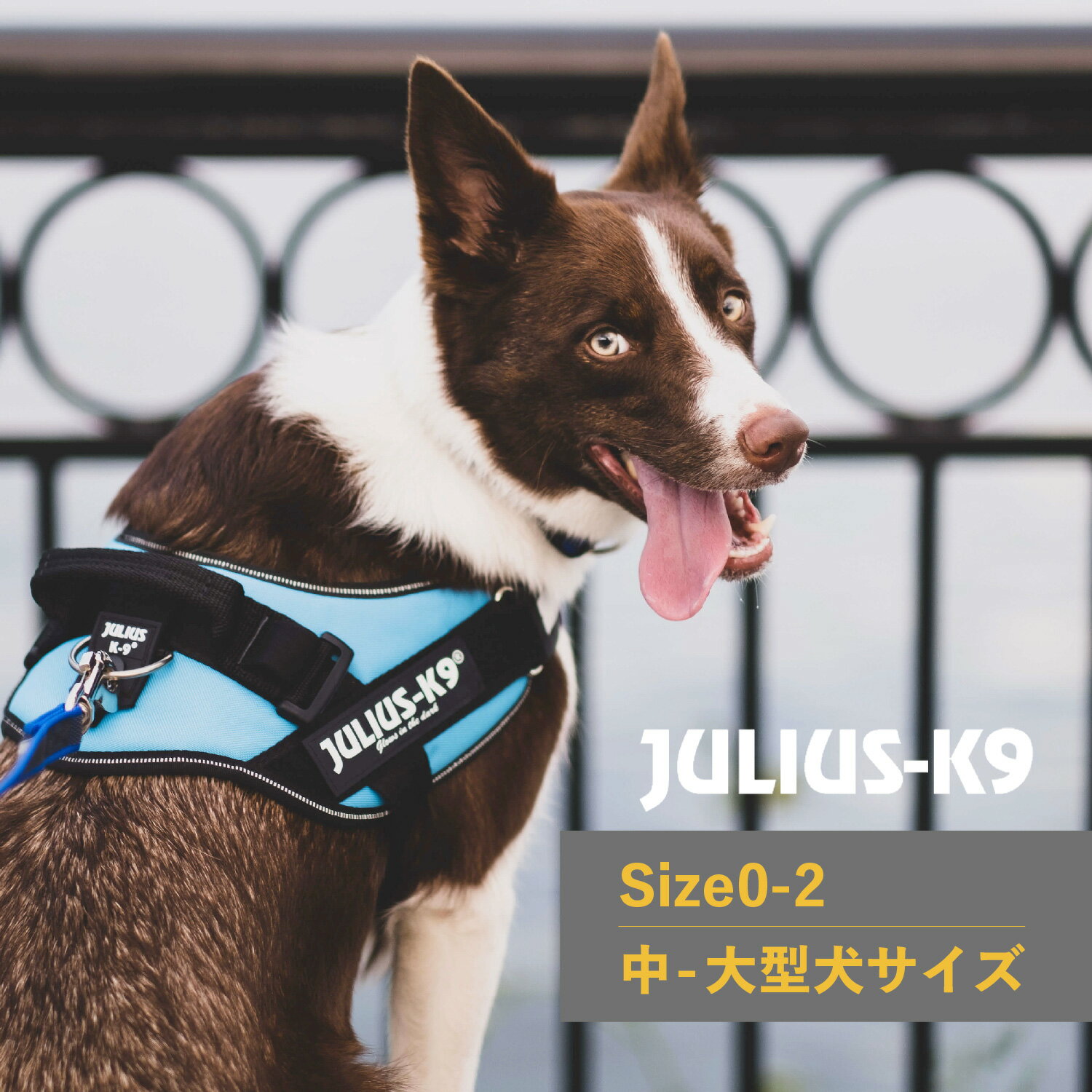  ユリウスK9 Julius-K9 ハーネス IDCパワーハーネス ベルト 中型犬 大型犬 ユリウスケーナイン 胴輪 歩行補助