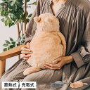 ライフオンプロダクツ Life on Products 湯たんぽ 充電式 猫 電気 カバー付き LCAWA004