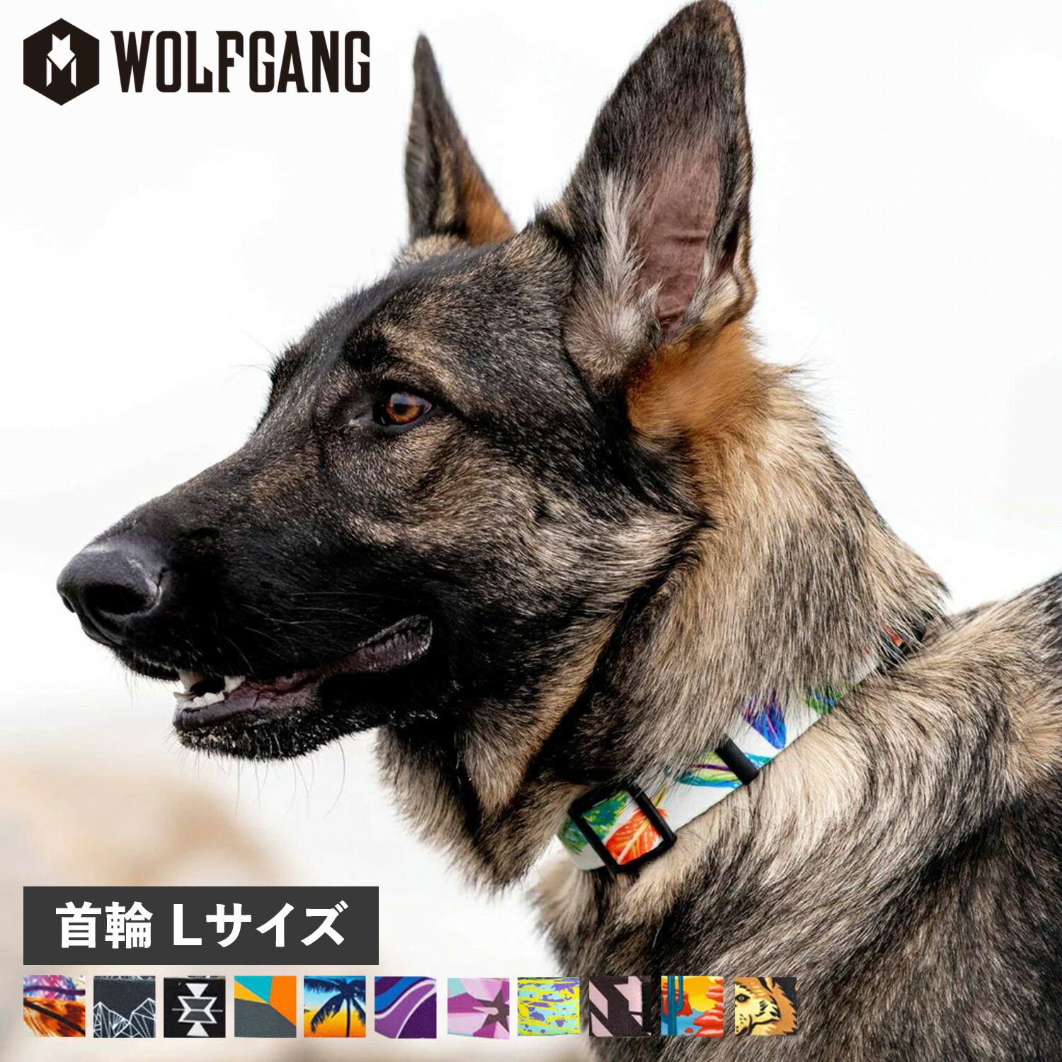 ウルフギャング WOLFGANG 首輪 大型犬用 Lサイズ 首輪犬 COLLAR マン&ビースト MAN&BEAST