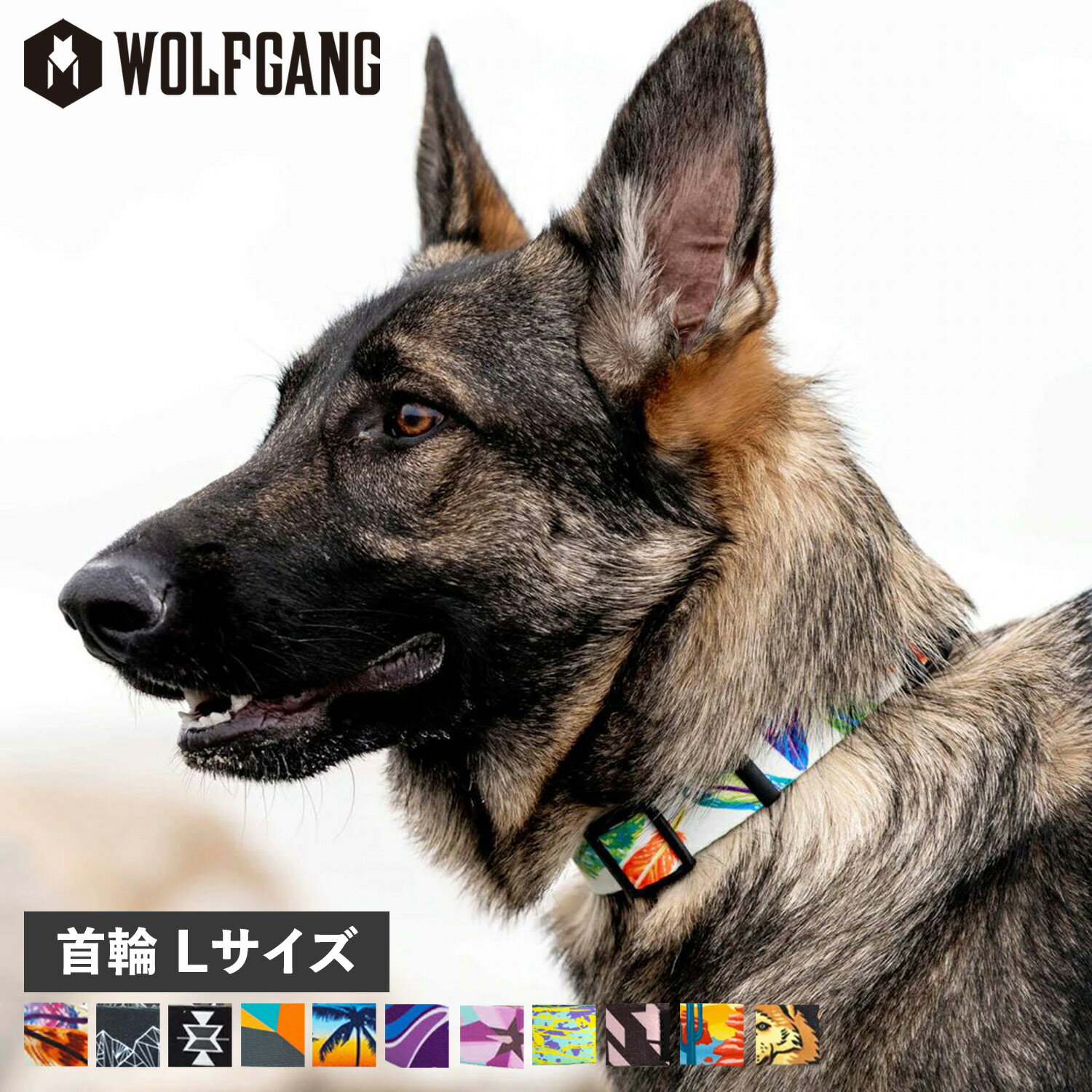 ե WOLFGANG  緿 L ظ COLLAR ޥ&ӡ MAN&BEAST