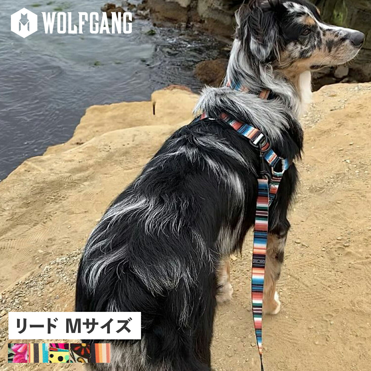  ウルフギャング WOLFGANG リード 中型犬 大型犬用 Mサイズ リーシュ LEASH マン&ビースト MAN&BEAST