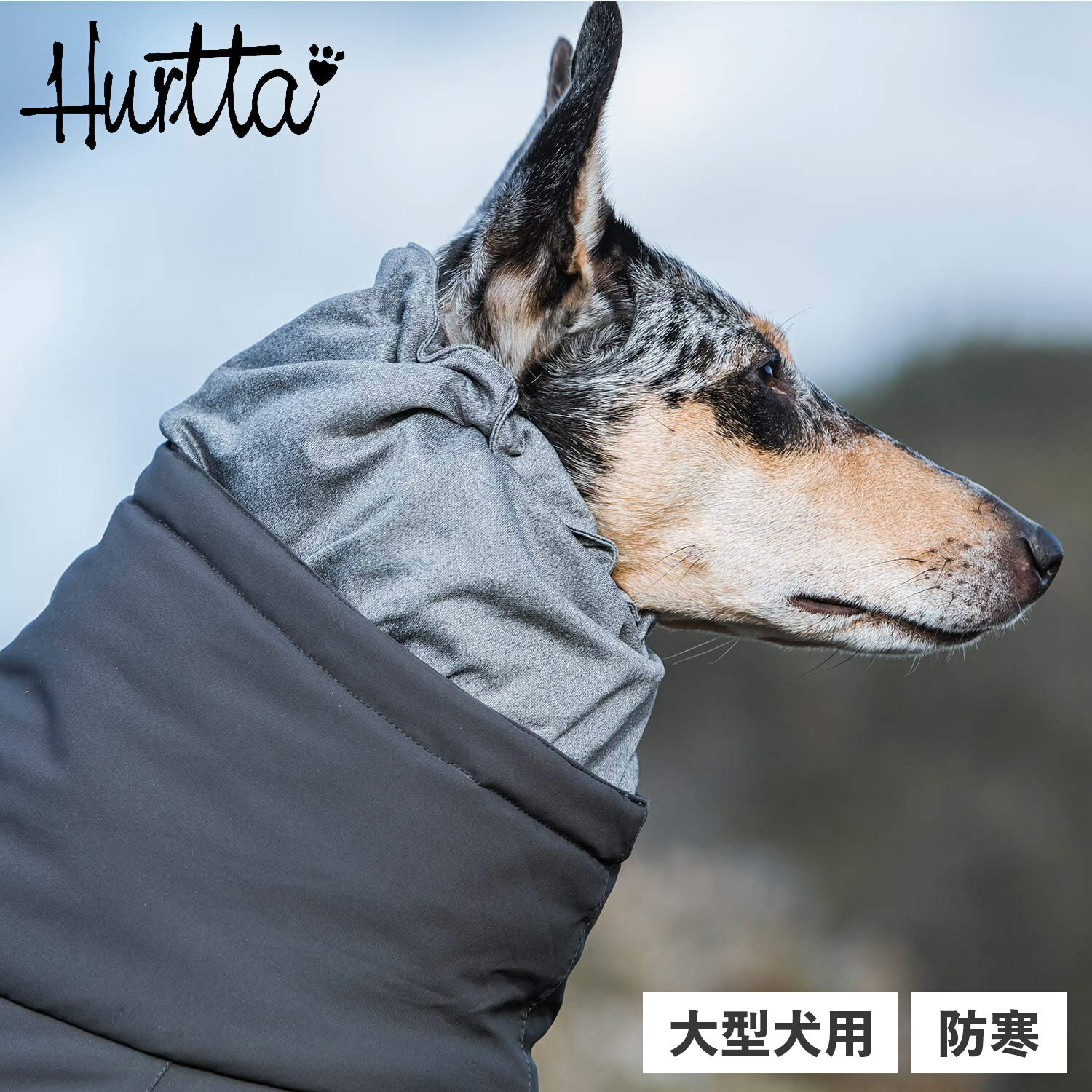 楽天スニークオンラインショップフルッタ Hurtta 犬 服 オーバーオール 犬服 冬 アウター 大型犬 防寒 EXTREME OVERALLS グレー