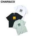 CHARI CO チャリアンドコー Tシャツ 半袖 メンズ EDIAFH THE CITY LOGO TEE ブラック ホワイト グリーン 黒 白