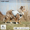 CANI COOL カニクール 犬 ひんやり グッズ 夏服 ドッグウェア XLサイズ 散歩 保冷 冷 ...