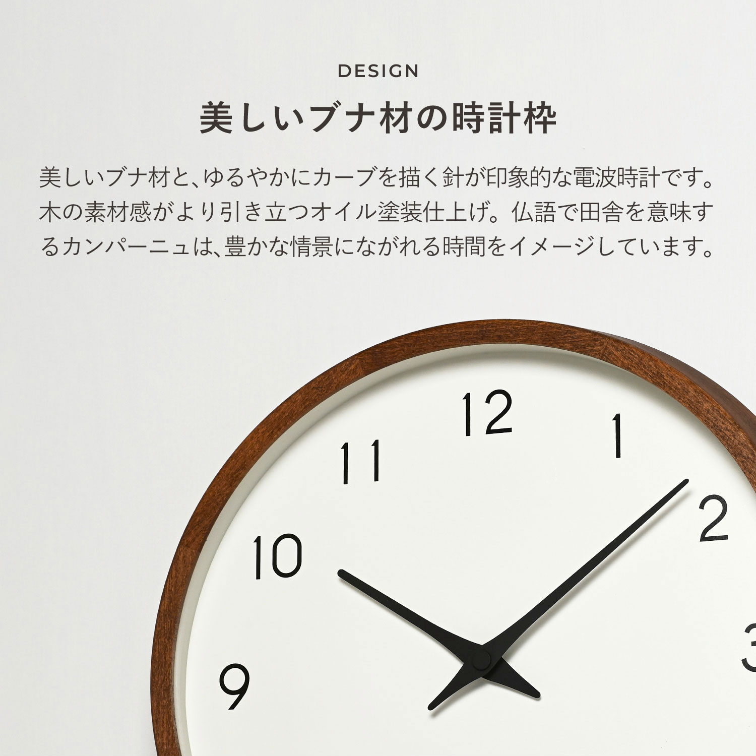 ���������Υ� ���� �ɳݤ� ���Ȼ��� �����å� ����ѡ��˥� ���� ���ʥ��� ������� �Ų� Campagne �֥饦�� PC10-24W