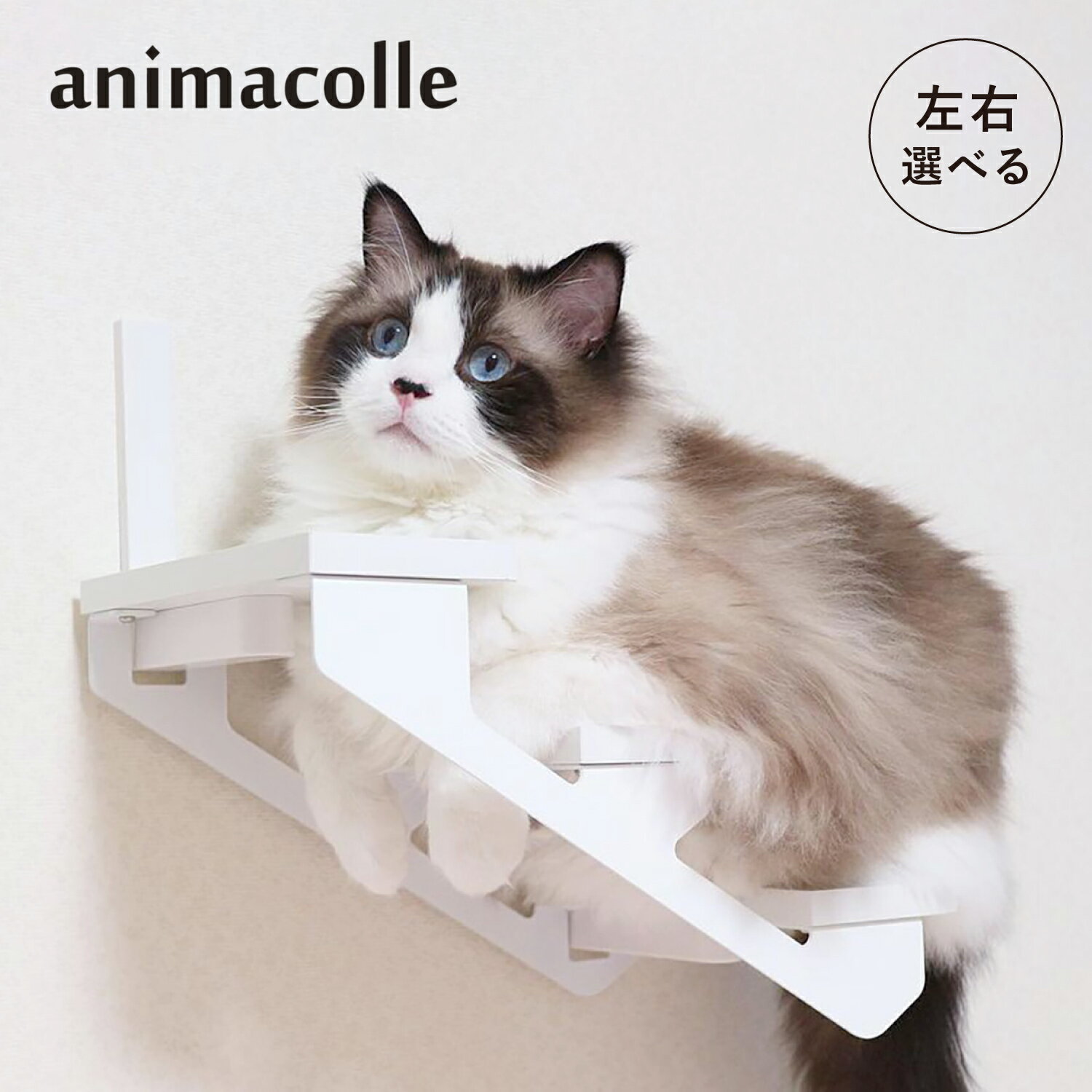 【最大1000円OFFクーポン発行中 11/27 09:59まで!】 アニマコレ animacolle キャットステップ キャットタワー キャットラダー 左上り...