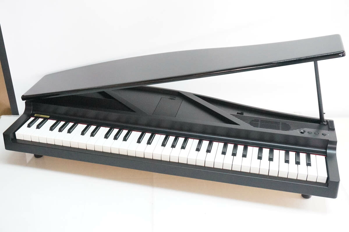 楽天市場】KORG MICRO PIANOの通販