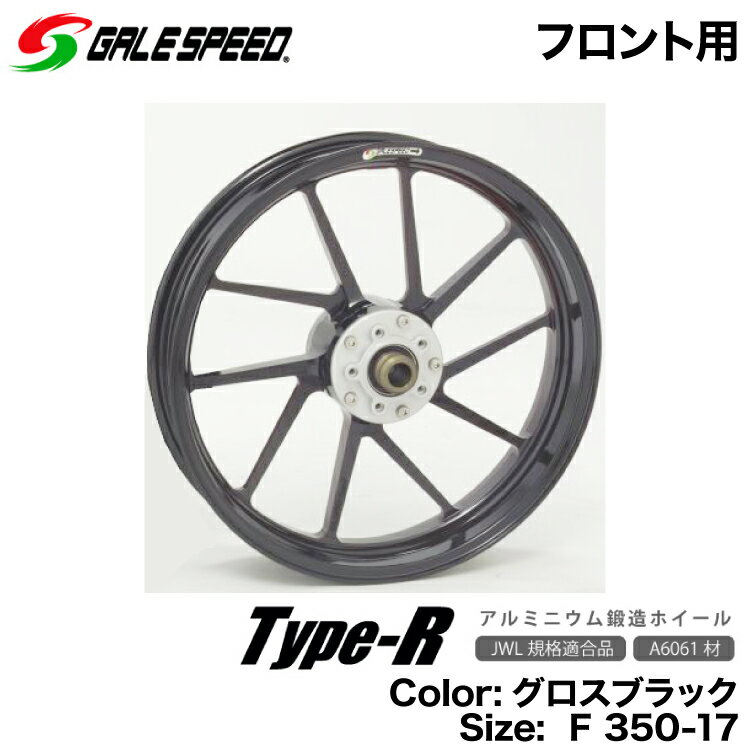 カワサキZRX1100(97-00) ZRX1200R(01-08) ZZR1100D(93-01) ZZR1200(02-05)用アルミ鍛造ホイール グロスブラック F350-17 GALESPEED Type-R (28371002GB)