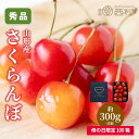 さくらんぼ 300g 青箱 母の日限定 お祝い フルーツ ギフト 果物 詰め合わせ 高級フルーツ 渋谷西村 産地厳選 送料無料 フルーツギフト お供え 御供 プ...