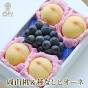 岡山桃&種なしピオーネ お中元 御中元 残暑見舞 女性向けギフト フルーツ ギフト 果物 詰め合わせ 渋谷西村 西村 フルーツ詰め合わせ フルーツギフト プレゼント 内祝 誕生日 お見舞い お供え 高級 贈答用 贈り物 贈答品 引越祝 退院祝