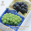 ぶどう&マスカット食べ比べセット マスカット・オブ・アレキサンドリア ピオーネ お中元 御中元 フルーツ詰め合わせ 渋谷西村フルーツ 贈答 お取り寄せ 送料無料...