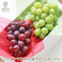 高級ぶどう2色食べ比べセット シャインマスカット クイーンルージュ お祝い フルーツ ギフト 果物 詰め合わせ 高級フルーツ 渋谷西村 西村 フルーツ詰め合わせ...