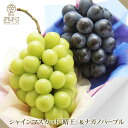 商品画像2