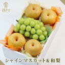 シャインマスカット&和梨セット お祝い フルーツ ギフト 果物 詰め合わせ 高級フルーツ 渋谷西村 フルーツ詰め合わせ 産地厳選 のし対応 お供え 御供 プレゼント 内祝 誕生日 お見舞い 贈答品 贈り物 引越祝 退院祝 秋の味覚 送料無料