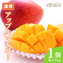 アップルマンゴー 1個入 約450g お祝い フルーツ ギフト 果物 詰め合わせ 高級フルーツ 渋谷西村 産地厳選 送料別 フルーツギフト お供え 御供 プレゼ...