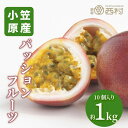 パッションフルーツ 約1kg お祝い フルーツ ギフト 果物 詰め合わせ 高級フルーツ 渋谷西村 産地厳選 送料無料 フルーツギフト お供え 御供 プレゼント ...