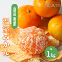 佐賀県 唐津産 温室みかん 産直箱 12個入り お祝い フルーツ ギフト 果物 詰め合わせ 高級フルーツ 渋谷西村 産地厳選 送料無料 フルーツギフト お供え ...