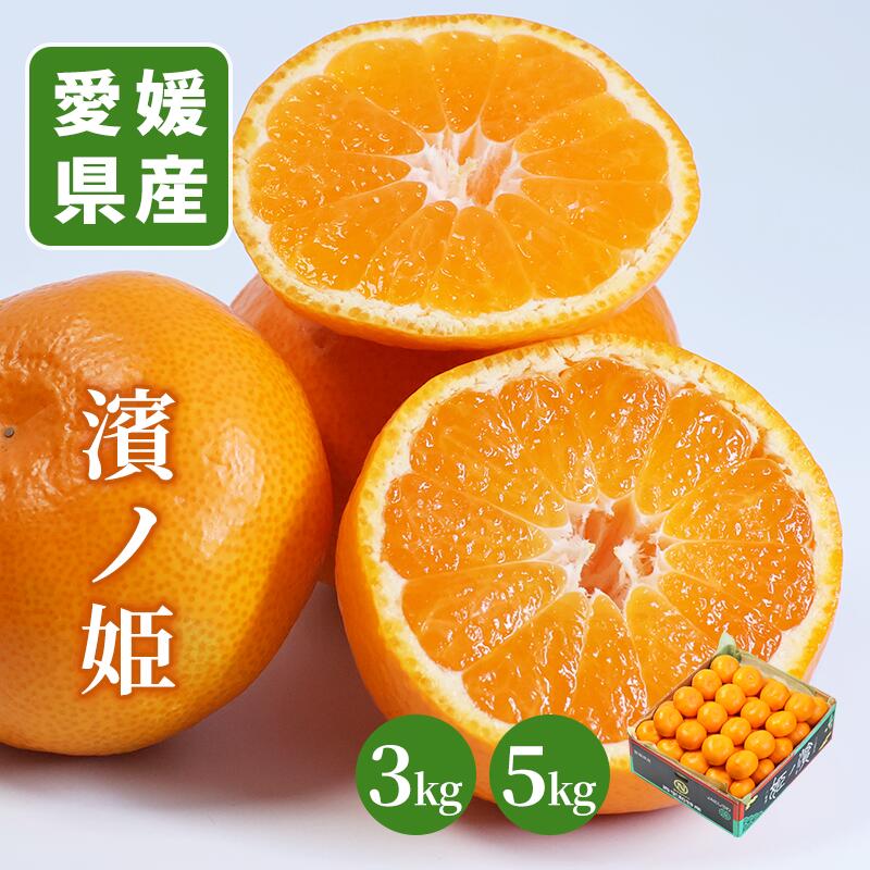 濱ノ姫 お祝い フルーツ ギフト 果物 詰め合わせ 高級フルーツ 渋谷西村 産地厳選 送料無料 お供え 御供 プレゼント 内祝 誕生日 お見舞い 高級 贈答 贈り物 引越祝 退院祝 志(4)