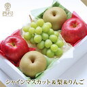 シャインマスカット&梨&りんごセット お歳暮 御歳暮 クリスマス フルーツ ギフト 果物 詰め合わせ 高級フルーツ 渋谷西村 西村 フルーツ詰め合わせ フルーツギフト お供え 御供 プレゼント 内祝 誕生日 お見舞い 高級 贈答用 贈り物 贈答品 引越祝 退院祝 手土産