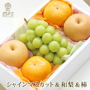 シャインマスカット&柿&梨セット お歳暮 御歳暮 フルーツ ギフト 果物 詰め合わせ 高級フルーツ 渋谷西村 フルーツ詰め合わせ フルーツギフト お供え 御供 プレゼント 内祝 誕生日 お見舞い 高級 贈答 引越祝 退院祝 手土産 志 旬のフルーツ