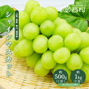 【大切な日にお届けします】シャインマスカット 秀品 2房 約1.0kg 1房 約500g 大房 送料無料 産地厳選 長野 山梨 福岡 香川 ぶどう 葡萄 ギフト フルーツ 贈答品 のし対応 果物 高級 皮ごと食べれる 選べる内容量 御見舞い 御歳暮 セール