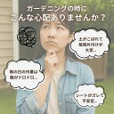 sng-store:10003317のサンプル画像3