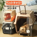 ハードキャリー ハードクレート クレート 犬 猫 おすすめ IATA基準 移動 おしゃれ しつけ キャリー ハードキャリー キャリーケース コンテナ クレート ケンネル ドライブボックス 猫 ねこ 小動物 小型犬