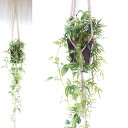 インテリアグリーン 観葉植物 フェイク おしゃれ 吊るす 造花 壁掛け ギフト フェイクグリーン ハンキング 小さい ミニ 移転祝い 新築祝い アーティフィシャ...