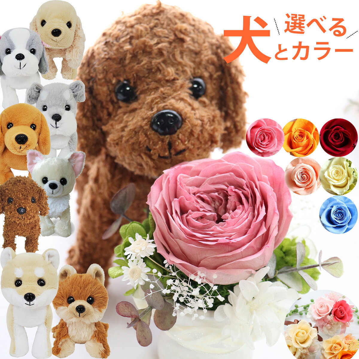 誕生日プレゼント 犬 お見舞い 結婚式 電報 母 母の日 女性 かわいい 花 ぬいぐるみ 結婚祝い プレゼント プリザーブドフラワー 電報 ギフト 母親 花 結婚記念日 お供え ペット 犬好き 「わんだ♪プチフラワーセット」 ブリザーブドフラワー