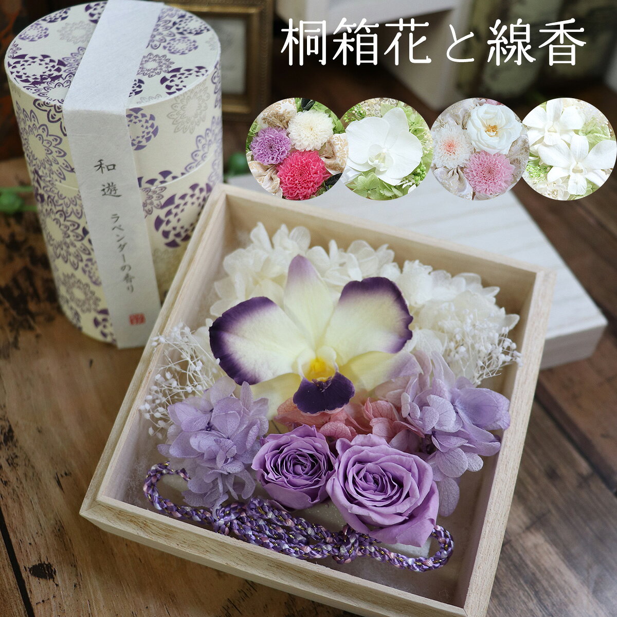楽天市場】ダリア（種類（植物）キク）の通販