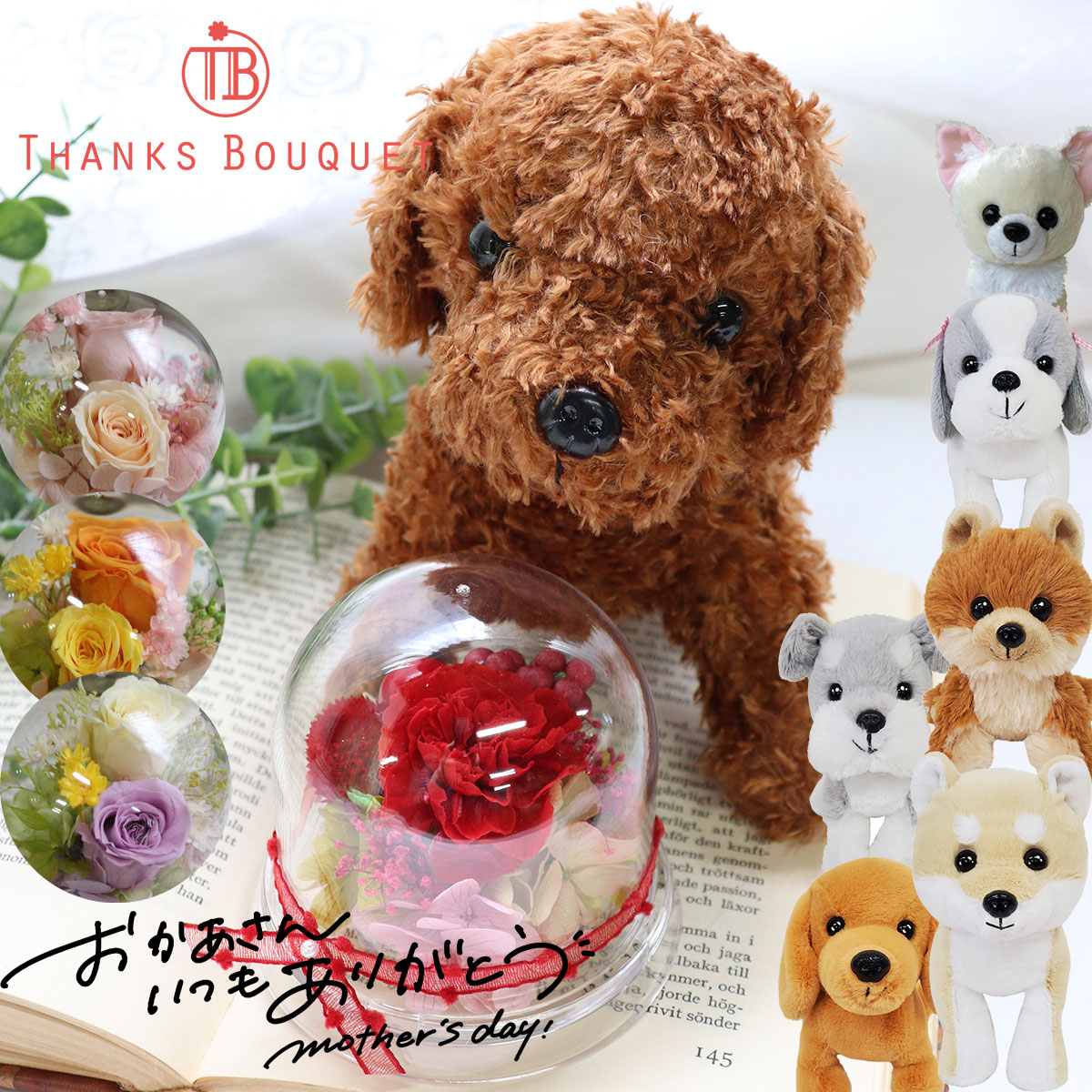誕生日 母の日 犬 花 プリザーブドフラワー ドーム ブリザード 犬好き ぬいぐるみ 2026 誕生日 プレゼント 退職祝い お見舞い 結婚式 電報 母 女性 かわいい 結婚祝い 電報 ギフト 結婚記念日 お供え ペット 犬好き 発表会 ペット お供え 「わんだ♪フラワーセット」