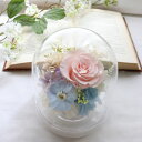 花ギフト サンクスブーケで買える「プリザーブドフラワー ドーム 結婚式 結婚式 電報 祝電 花 おしゃれ 入籍祝い 可愛い 入籍結婚で両親に贈るプレゼント 結婚記念日 プレゼント 妻 両親 入籍祝い 友人 結婚祝い 引っ越し祝い 新築祝い 誕生日プレゼント 友達 同僚 誕生日 女性「祝福」」の画像です。価格は5,500円になります。