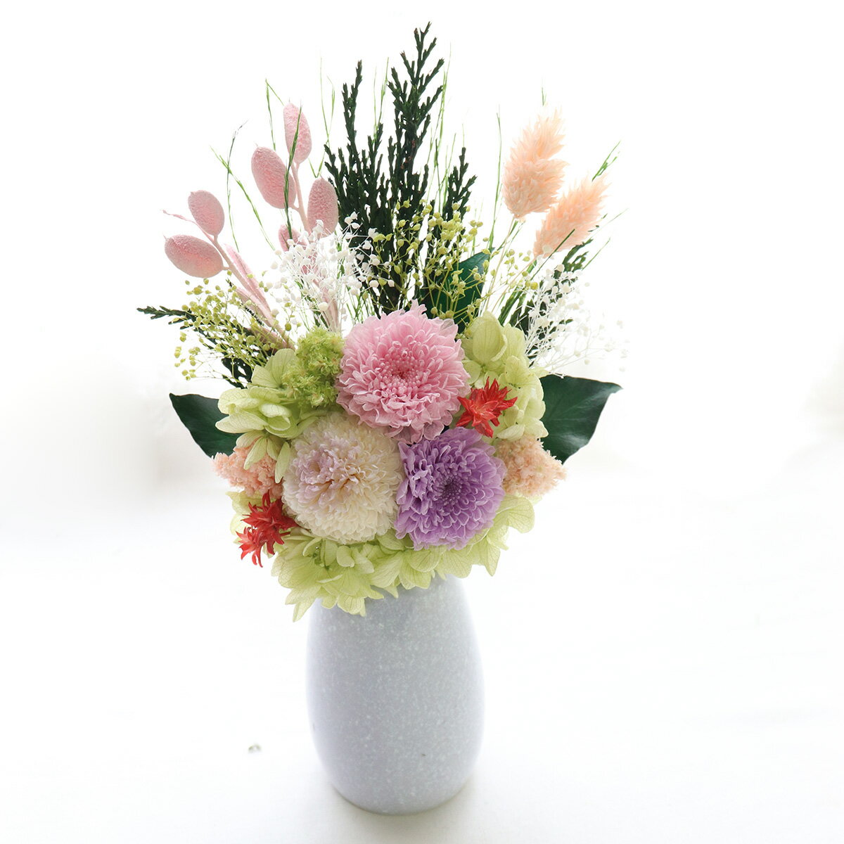 �ץꥶ���֥ɥե� ʩ�� ���� ������ʪ ʩ�� ���߾���ʩ�� ���� ��ʪ ������ ���� ���� ��« ����ʪ �ߥ� ʩ�� ʩ���� �ץꥶ���֥� �� ���� ˡ�� ...