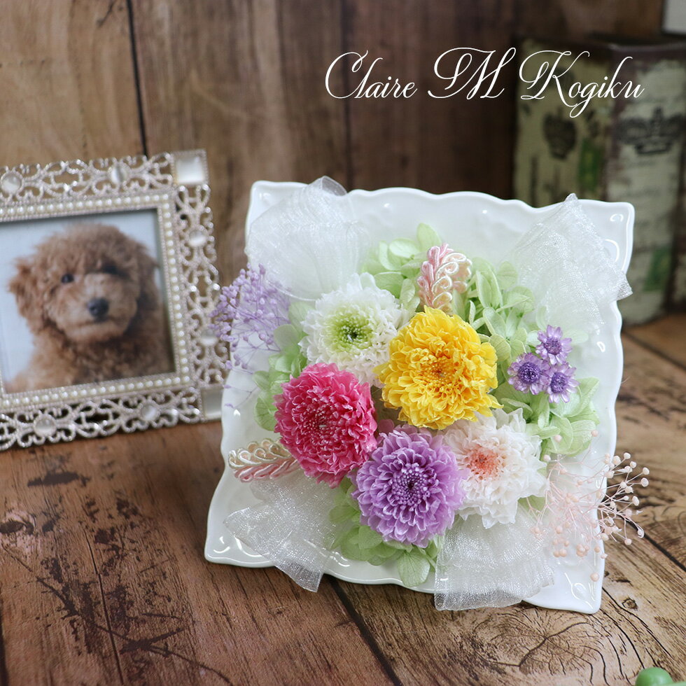 ����Ϥ������Ϥ����� ���� ������ �� ���渫�� ���� ���ե� �� �ץꥶ���֥ɥե� ������ �� �۱� ������ ���ꥢ������ ������� ������ ǭ ���� ...