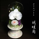 初盆 お供え プリザーブドフラワー ガラスドーム お供え 仏花 初盆 新盆 喪中はがきが届いたら 花 故人お盆 お供え プリザーブドフラワー 仏花 ドーム ガラ...