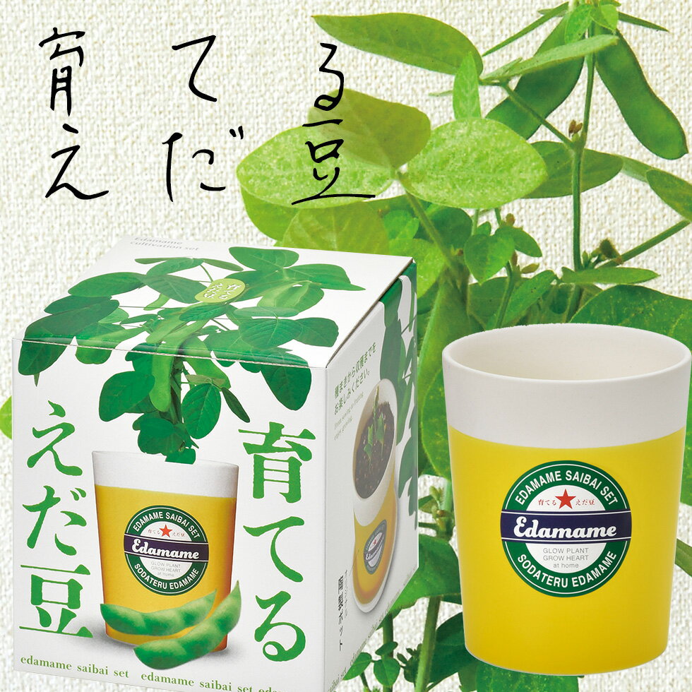 タキイ種苗 ソラマメ 仁徳一寸 1L