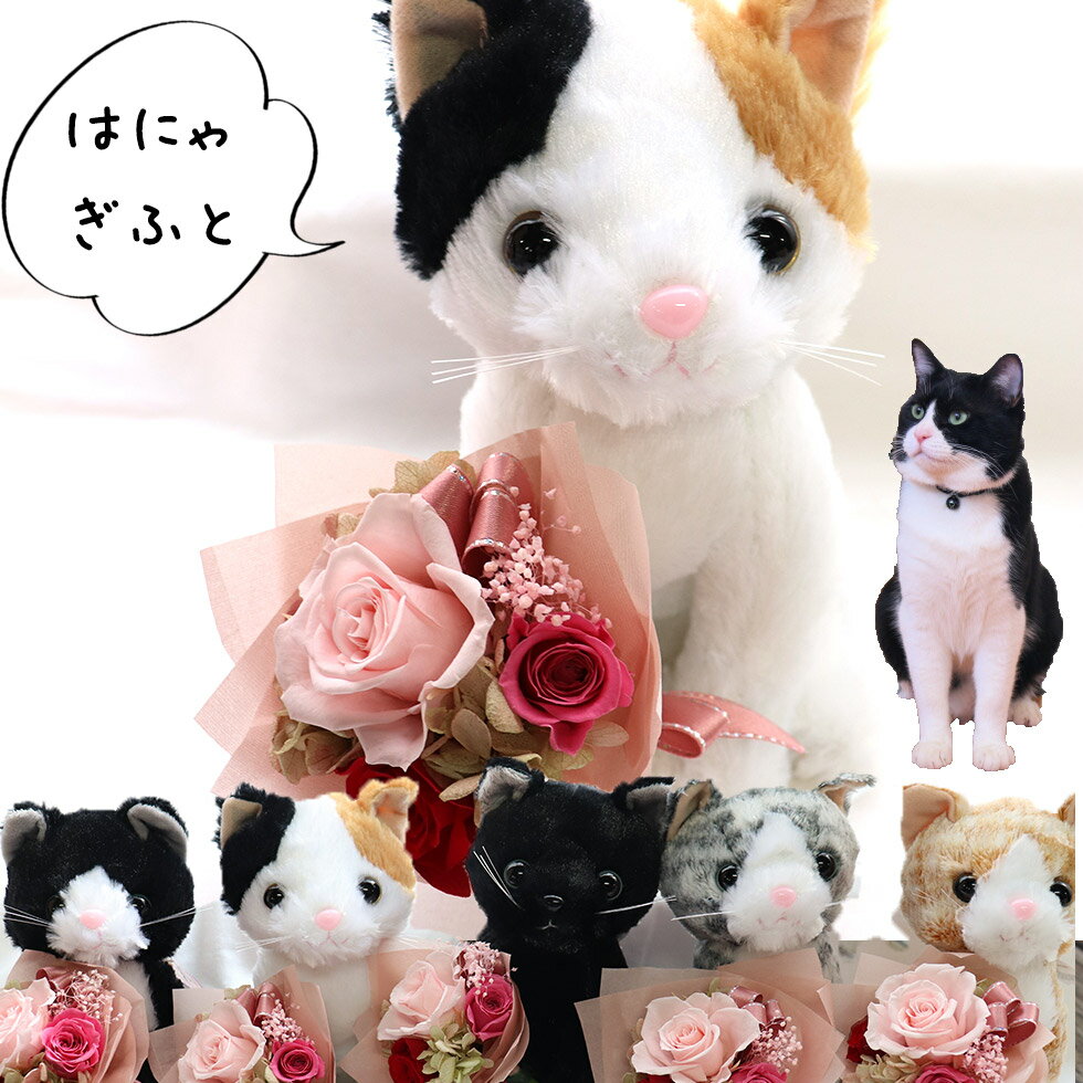 誕生日プレゼント 猫好き 女性 結婚式 祝電 電報 母の日 猫 花 ねこ ネコ ぬいぐるみ プレゼント 女性 ..