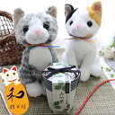 猫好き ギフト プレゼント ニャルソック 誕生日 敬老の日 長寿祝い 栽培セット 三つ葉 猫 ねこ ぬいぐるみ 三毛猫 黒猫 サバトラ 黒猫 茶トラ 父の日 彼女 にゃんこ かわいい 贈り物 おじいちゃん おばあちゃん 誕生日 女の子 猫好き お見舞い 「猫ぷらす和」三つ葉栽培