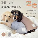 スリットリブはらまき はらまき 腹巻き 犬用腹巻き ペット ペットグッズ あたため 着せやすい 犬 ボディーウォーマー 腸活 冷房対策 シニア パピー 犬 服 介護 snowdrop ゆうパケット対応