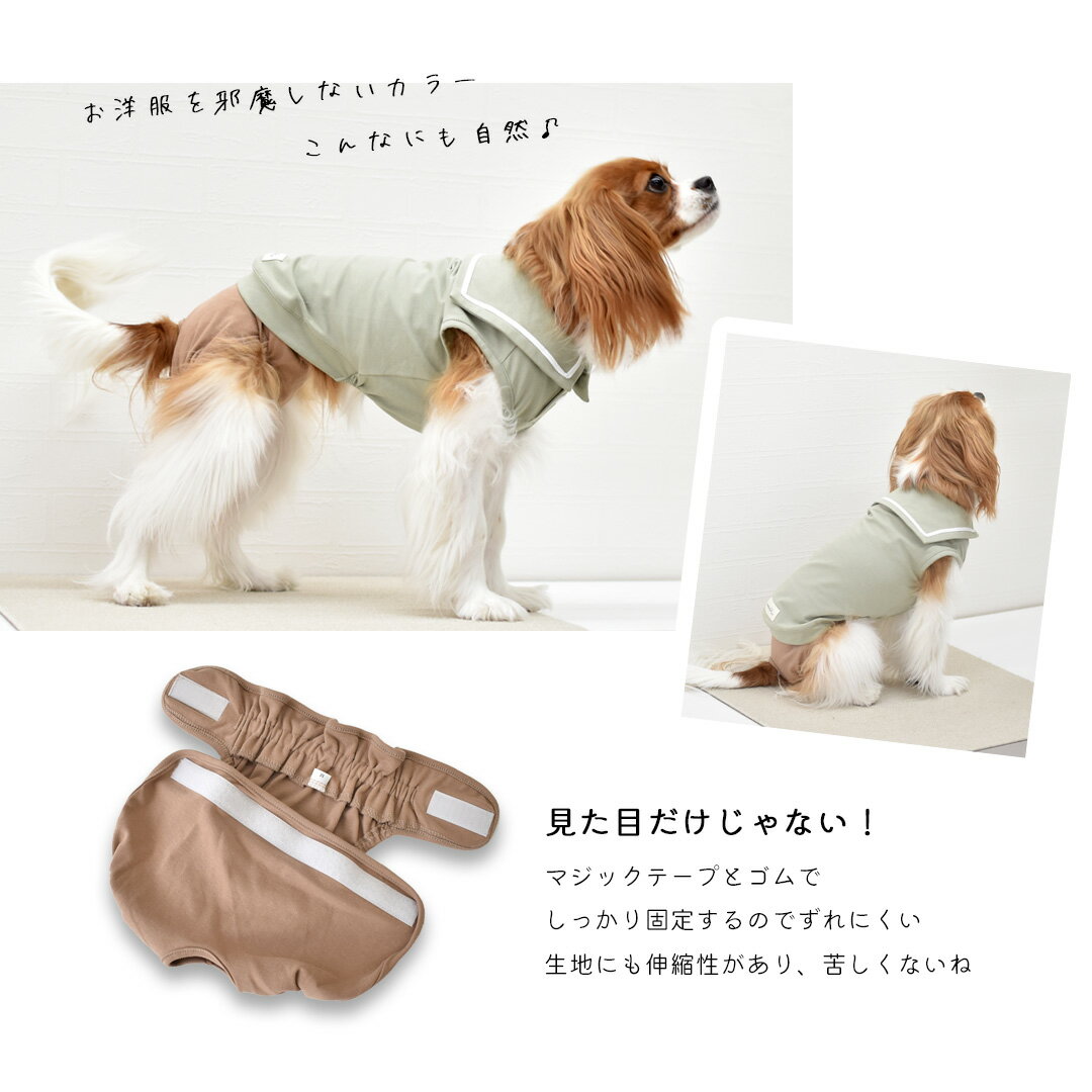 マナーパンツ おむつカバー マナーウェア サニタリーパンツ 犬用 おむつカバー 犬服 ドッグウェア シンプル おむつカバー snowdrop ゆうパケット対応 3
