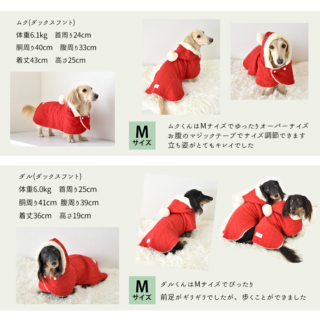 (�߸˽�ʬSALE�ΰ����ʸ��Բ�)���ꥹ�ޥ������� �̤��̤� �˥å� �ڥåȥޥ�� ������ �ɴ� �İ��� snowdrop �⤳�⤳ �ɥå������� ������ �ɴ��� �ա����դ� �椦�ѥ��å��Բ�