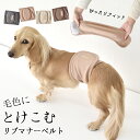 リブ マナーベル マナーウェア