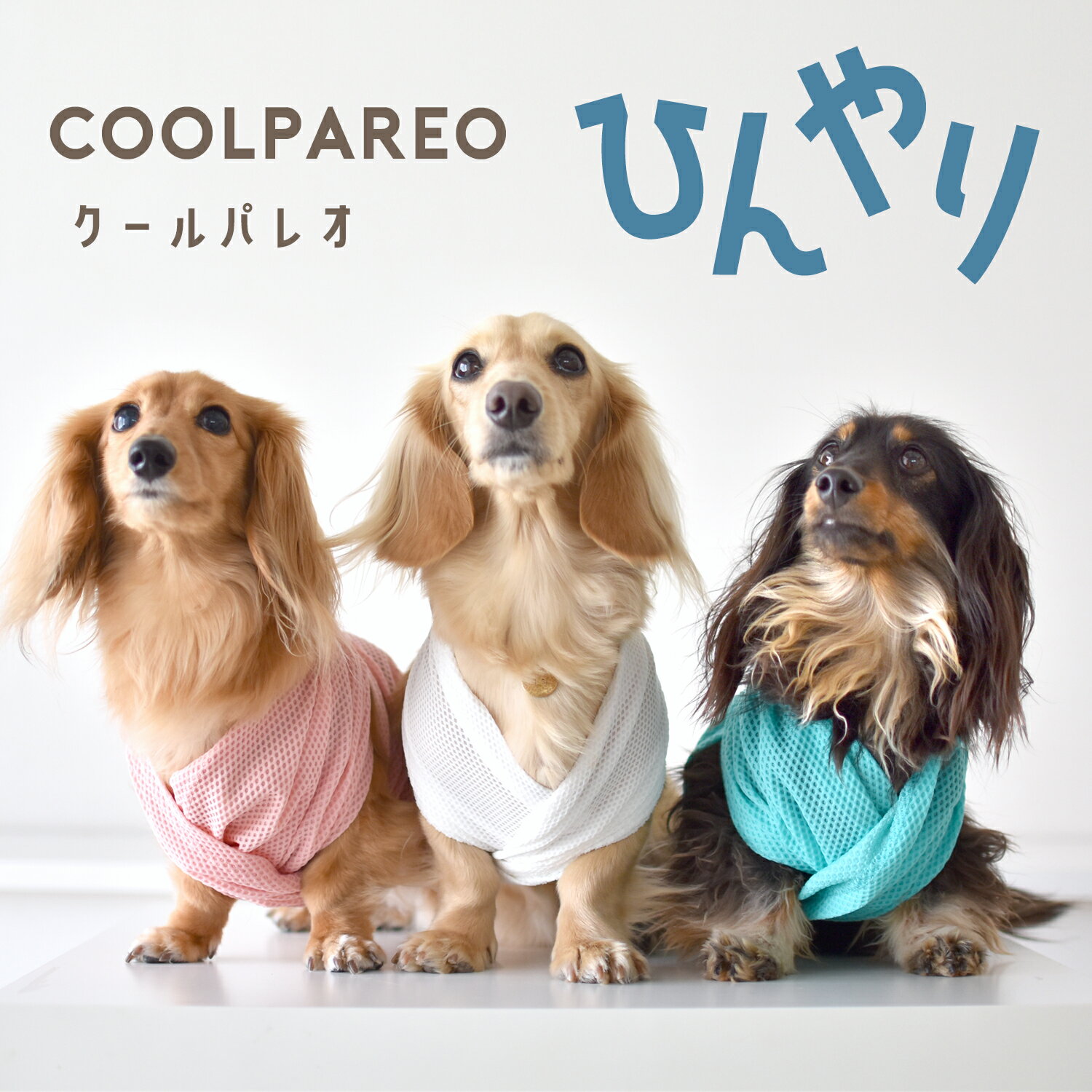 パレオ ペット用冷感タオル 犬 猫 冷却 クールバンダナ クールネック クールタオル...