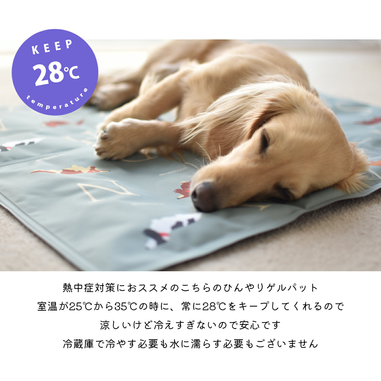 �ڥå��� ��� ������ޥå� �Ҥ��� ���� �ڥå� �ޥå� ��ʪ �٥å� ���å��� ���å����ե���Կ����� �椦�ѥ��å��Բ�