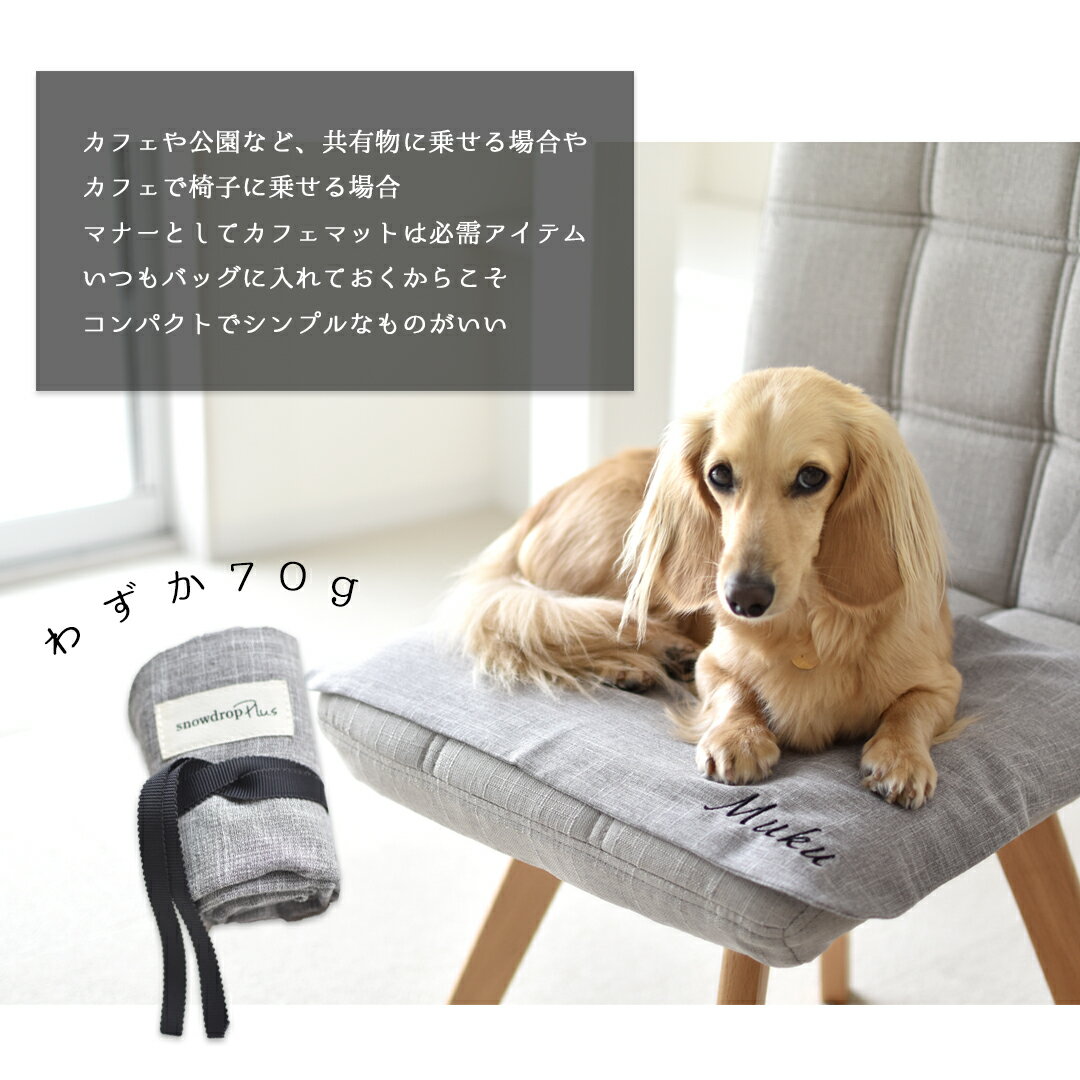 new���ե��ޥå� ̾���� �� ���ե��ޥå� ����ѥ��� �ڥå��� �ޥʡ� ��ʪ ���ե� �ޥå� ������ ������ ODEKAKE �ڥå� �ڥåȥ��å� �� ������ ���� �椦�ѥ��å��б�