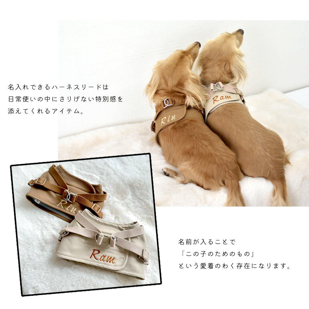 ハーネス リードセット 名入れ 刺繍 反射 小型犬 犬用 犬具 迷子防止 脱走防止 胴...