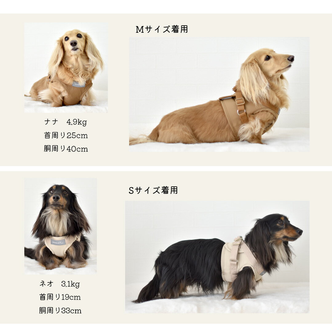ハーネス リードセット 名入れ 刺繍 反射 小型犬 犬用 犬具 迷子防止 脱走防止 胴...