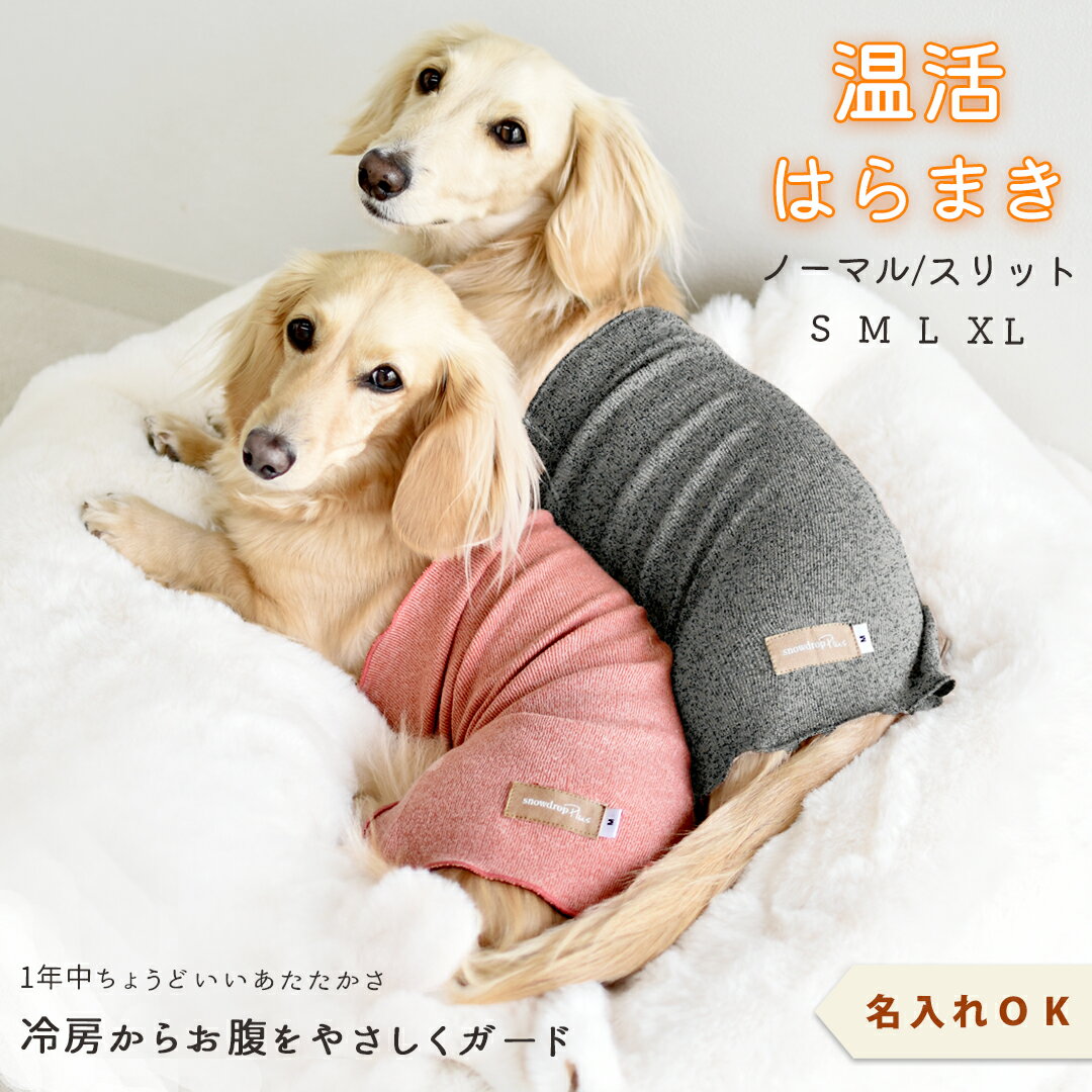 はらまき 2タイプはらまき プリント名入れ 腹巻き 犬用腹巻き ペットグッズ あたため 犬 ボディーウォーマー 腸活 冷房対策 シニア 介護 snowdrop　ゆうパケット対応