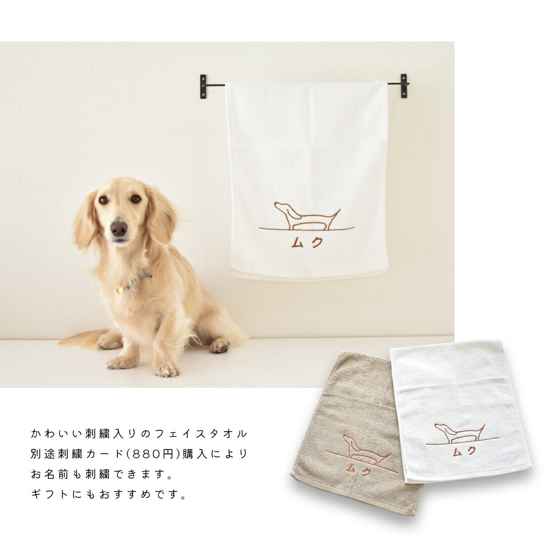 �ɽ��ե�����������2�祻�å� �����λҥ����� �ѥ��� ������ Ʊ�ǥ�����2�祻�å� �ץ쥼��� ���ե� �ޤȤ��㤤 ���٤�ǥ����� ���襤�� snowdrop �椦�ѥ��å��б�