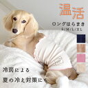 リブはらまき はらまき 腹巻き 犬用腹巻き ペット ペットグッズ あたため 着せやすい 犬 ボディーウォーマー 腸活 冷房対策 シニア パピー 犬 服 介護 snowdrop ゆうパケット対応